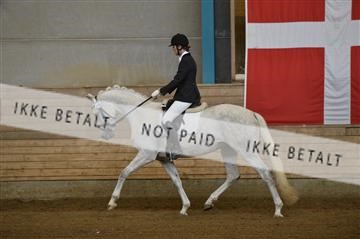 144288_abo_02__AB22939.JPG