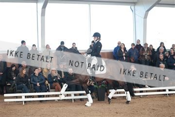179022_kbb_01_R6II2462.JPG