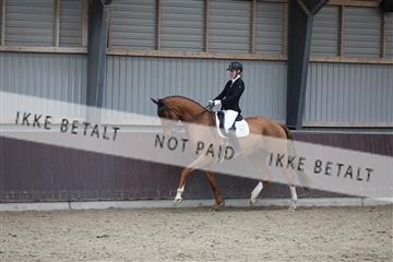 171210_mtp_01_3M5A6358.JPG