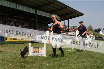 125257_abo_14_IMG_2104.JPG