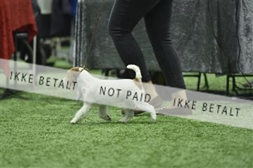 163793_bkn_01__BKN9015.JPG