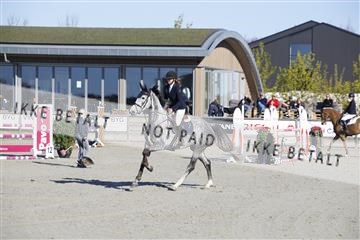 181332_kbb_01_6II3269.JPG
