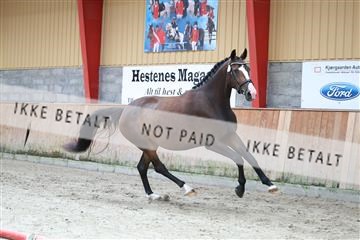 181868_mtp_02_R62_5397.JPG