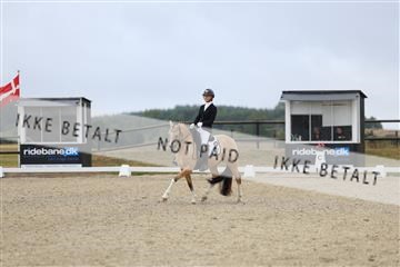 181894_mtp_04_R62_3686.JPG
