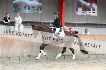 181867_mtp_01_R62_3925.JPG