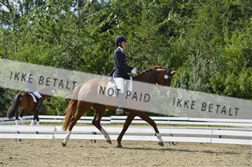136195_abo_01__AB16001.JPG