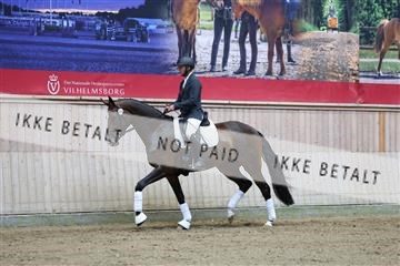181887_mtp_04_R62_8384.JPG
