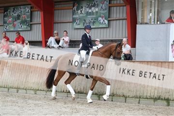 181867_mtp_01_R62_4110.JPG