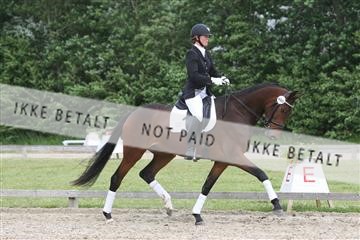 135518_ms_02_IMG_2577.JPG