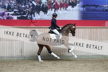 181887_mtp_01_R62_7086.JPG