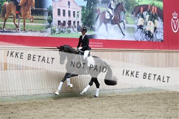 181887_mtp_04_R62_8821.JPG