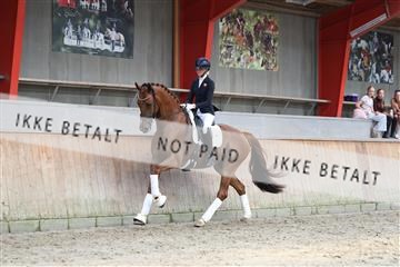 181867_mtp_01_R62_4132.JPG