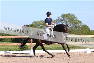 181449_bc_01R62_6274.JPG