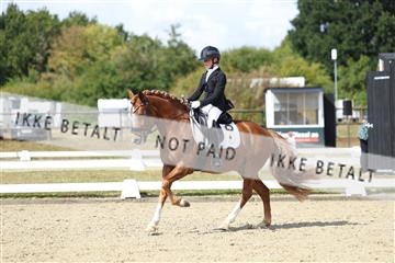 181894_mtp_05_R62_4539.JPG