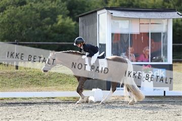 181894_mtp_05_R62_5172.JPG
