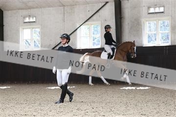 179104_avh_01_3090.JPG