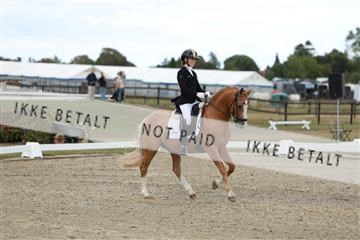 181894_mtp_03_R62_2955.JPG