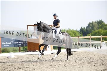 181449_kbb_02_6II1392.JPG