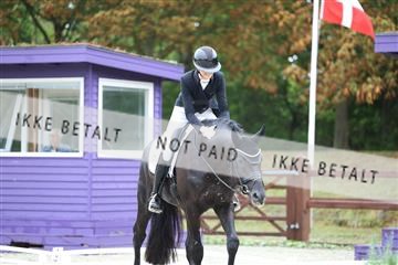 181923_mtp_01_R62_6600.JPG