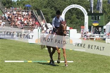 130444_abo_01_IMG_6267.JPG