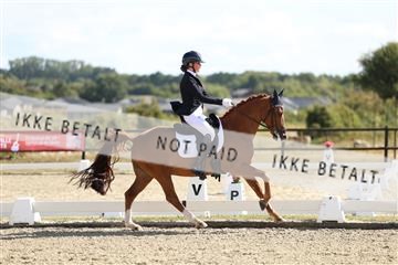 181894_mtp_02_R62_2278.JPG