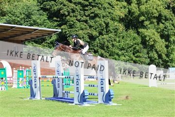 181805_mlm_02_R62_6506.JPG