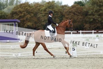 181923_mtp_02_R62_7078.JPG