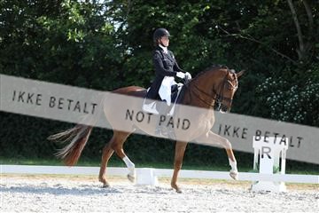172073_mtp_01_3M5A4772.JPG