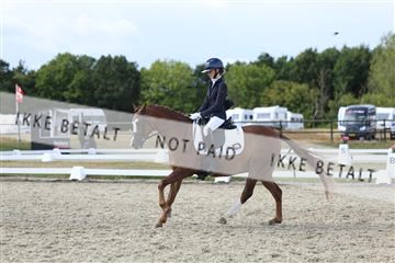 181894_mtp_05_R62_4987.JPG