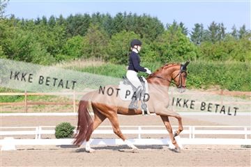 181449_bc_01R62_6574.JPG
