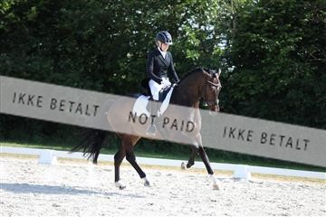 172073_mtp_01_3M5A4761.JPG
