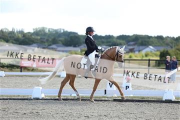 181894_mtp_02_R62_1907.JPG