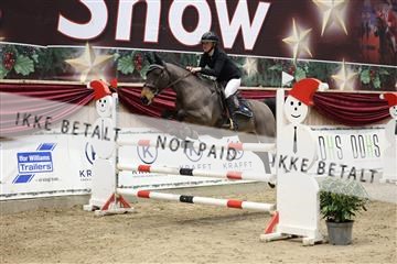 175934_avh_02_7365.JPG