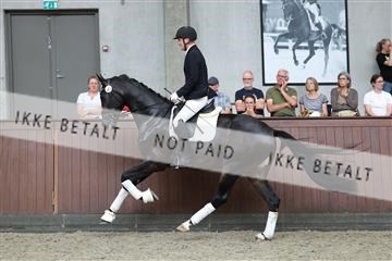 181852_mtp_05_R62_3434.JPG
