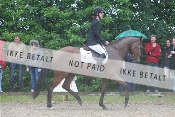 135518_ms_01_IMG_1124.JPG