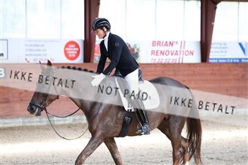 175442_kbb_01_R6II0206.JPG