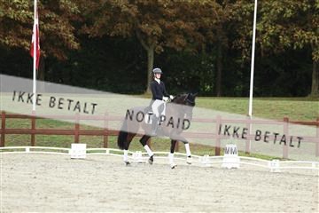 181923_mtp_03_R62_7960.JPG