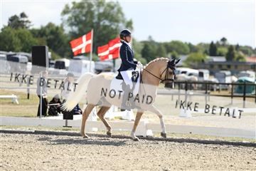 181894_mtp_02_R62_1477.JPG