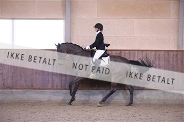173821_mtp_01_3M5A9330.JPG