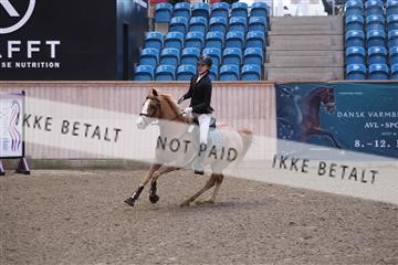 174047_kbb_01_R6II6794.JPG