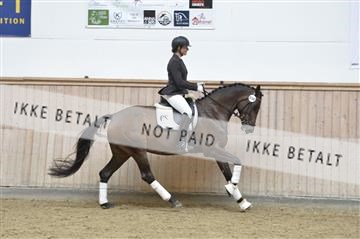 160111_nn_01__ESK1567.JPG