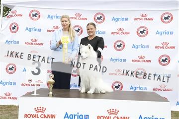 181848_kar_01__62_3521.JPG