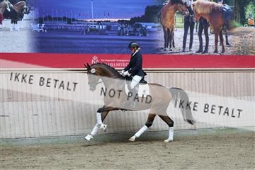 181887_mtp_01_R62_7116.JPG