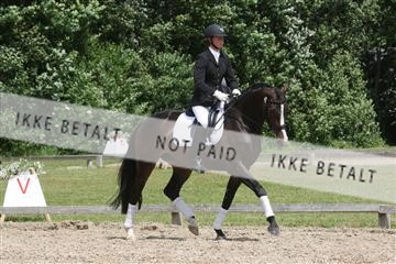 135518_ms_01_IMG_1855.JPG