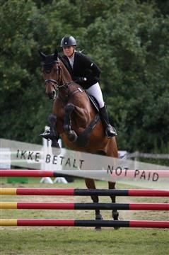 152528_nn_01_IMG_3479.JPG