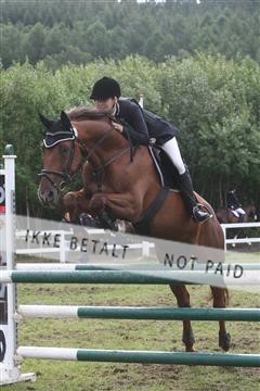 5925_ma_05_IMG_0604.JPG
