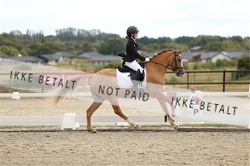 181894_mtp_03_R62_2414.JPG