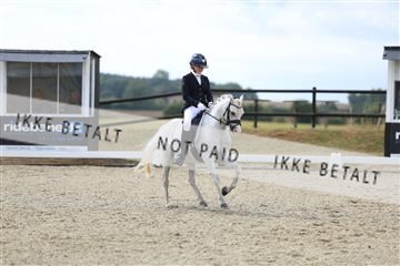 181894_mtp_05_R62_4410.JPG