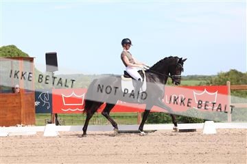 181449_bc_01R62_5875.JPG
