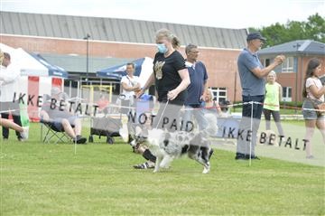 168981_bkn_01__MHR0292.JPG
